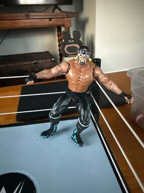 1999 Toy Biz WCW Hollywood Hulk Hogan Evolution Action Figure